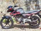 Bajaj XCD 2010