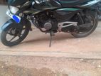 Bajaj XCD xcd135 2009