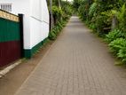 Bakery Business for Sale – Homagama