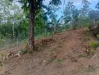 Balangoda Land for Sale (SSPL-145)