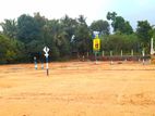 Bandaragama Land For Sale බණ්ඩාරගම අධිවේගය ආසන්නයෙන් ම ඉඩමක්