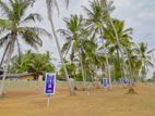 Bandaragama -Most Valuble Lots Land