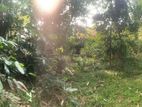 Bandaragama Weedagama Land for Sale 16 Perches