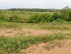 Bandaragma Land