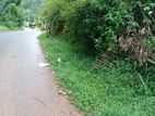 Bandarawela : 120P Highly Commercial Land for Sale Facing walimada Road