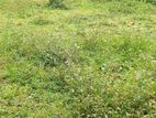 Bandarawela : 38 Perches Land for Sale at Spring mawatha