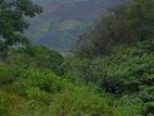 Bandarawela Land for Sale