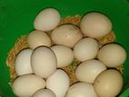 Bantam Egg