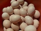 Bantom Eggs