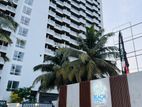 (BAR47) Modern Furnished Luxury Apartment for Rent in Wattala