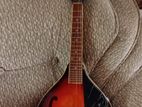 Barand New Mandolin