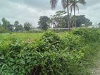 Bare land For Immediate Sale in Ja-Ela