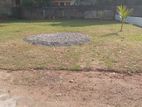 Bare Land for Rent in Kotte.
