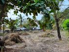 Bare Land for Rent in Negombo