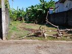 Bare Land for Rent Thalawathugoda