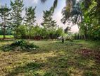 Bare Land for Sale at Malabe