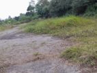 Bare Land for Sale Ekala