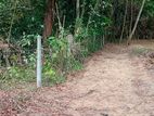 Bare Land for Sale - Kalagedihena