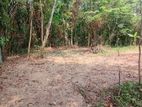Bare Land for Sale - Kalagedihena