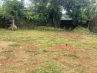 Bare Land for Sale Immediately in Kottawa.