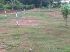 Bare Land For Sale in Akurugoda, Matara