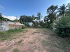 Bare Land for Sale in Alwis town