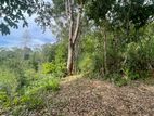 Bare land for sale in Andaradeniya, Deniyaya