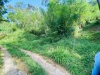 Bare Land for Sale in Balangoda