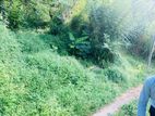 Bare Land for Sale in Balangoda