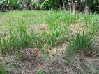 Bare Land for Sale in Battaramulla