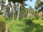 Bare land for sale in Dandugama, Ja-Ela (C7-6917)