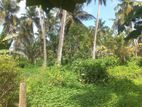 Bare land for sale in Dandugama,Ja-Ela (C7-6917)