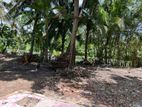 Bare Land for Sale in Dehiwala CL - 649