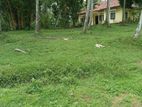 Bare Land for Sale in Dehiwala CL - 649