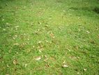 Bare Land For Sale in Duplication Road Colombo 4