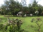 Bare Land for Sale in Embilipitiya