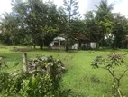 Bare Land for Sale in Embilipitiya