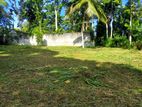 Bare Land For Sale In Hikkaduwa