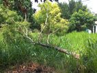Bare Land for Sale in Hill Crescent Residencies, Dehiwala (c7-10342)