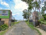 Bare Land for Sale in Horana