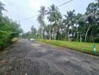 Bare Land For Sale In Horana