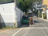 Bare Land For Sale In Iswari Road Colombo 06