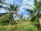 Bare Land for Sale in Ja-Ela CL-639