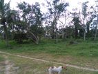 Bare Land for Sale in Ja-Ela