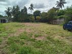 Bare Land For Sale In Jaela