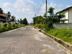 Bare Land for Sale in Kadirana Negombo
