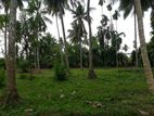 Bare Land for Sale in Kaduwela