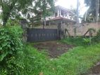 Bare Land for Sale in Katana