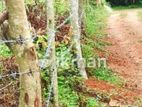 Bare Land for Sale in Kegalle Ruwanwella