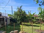Bare Land for Sale in Kotte
